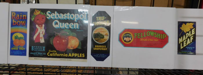 15 Fruit Labels