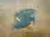 item-18398624=4