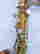 item-23096728=3