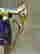 item-24963859=4