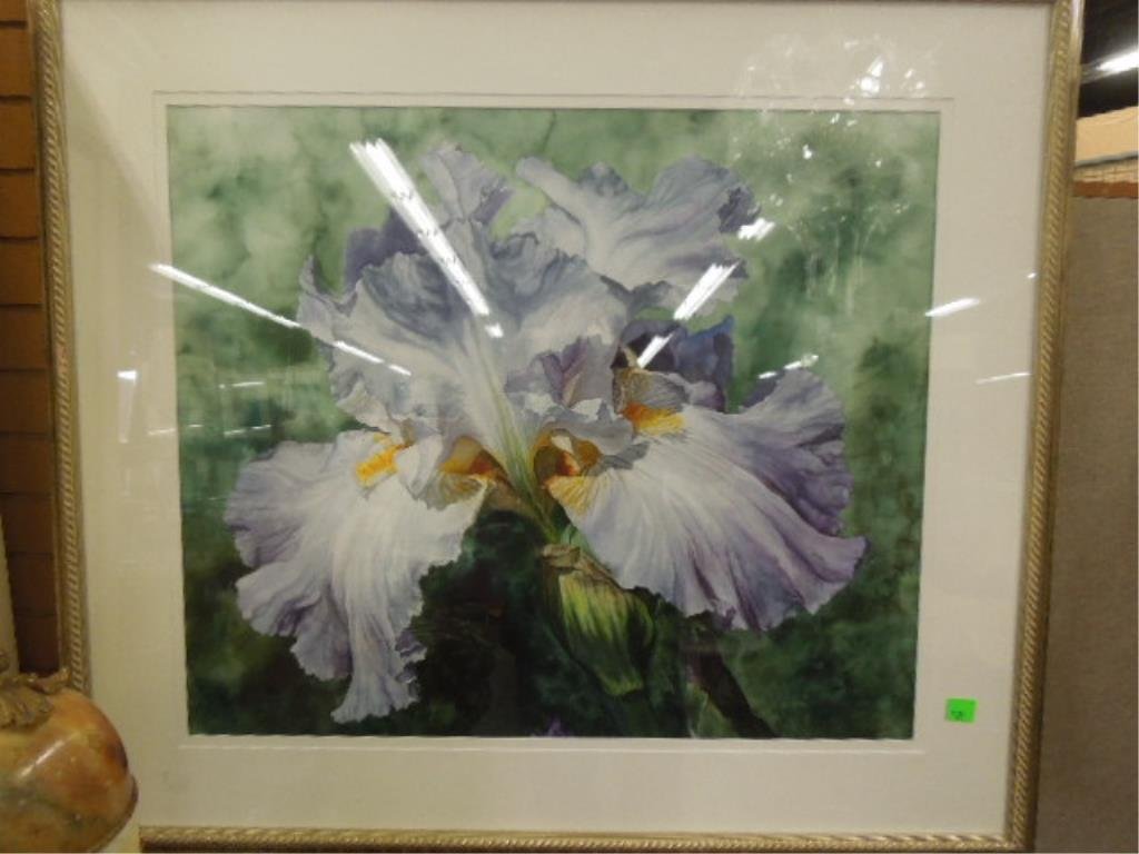 C. Jones Winters, w/c, Iris: Caroline Jones Winters, signed, watercolor, Iris. 39 1/4 h x 45 w [frame] CONDITION: Not examined out of frame; no evident issues.
