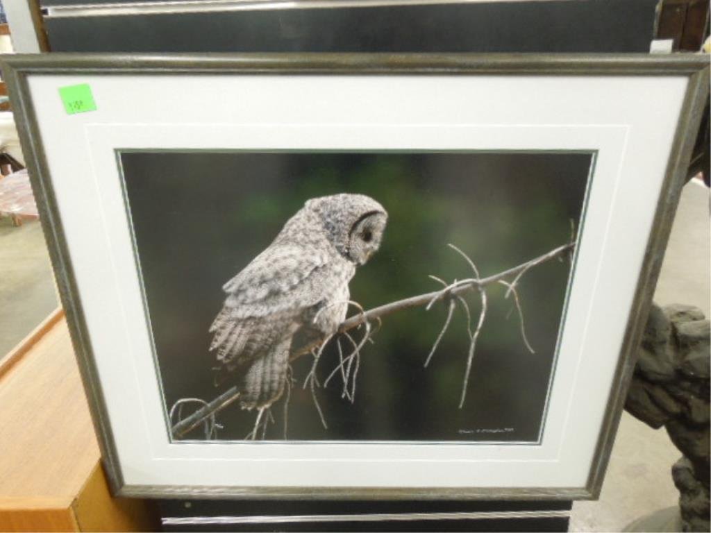 Thomas Mangelsen, photo print, Owl: Thomas D. Mangelsen, 1989, signed and dated, color photographic print [120/950], Owl. 23 1/4"h x 27"w [frame]. CONDITION: Not examined out of frame; no evident issues.