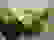 item-37743450=5