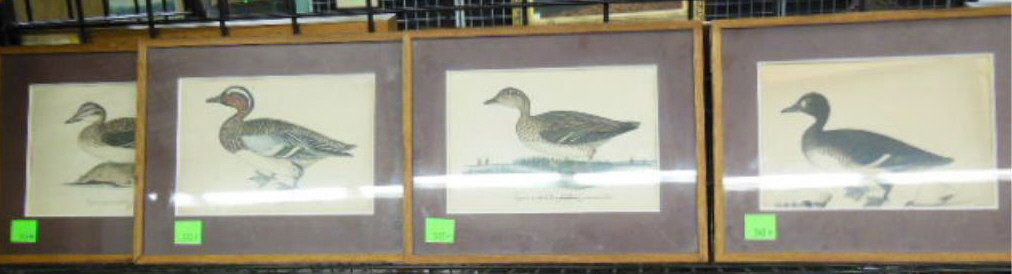 [4] Russian Waterfowl Watercolors (1 of 5)
