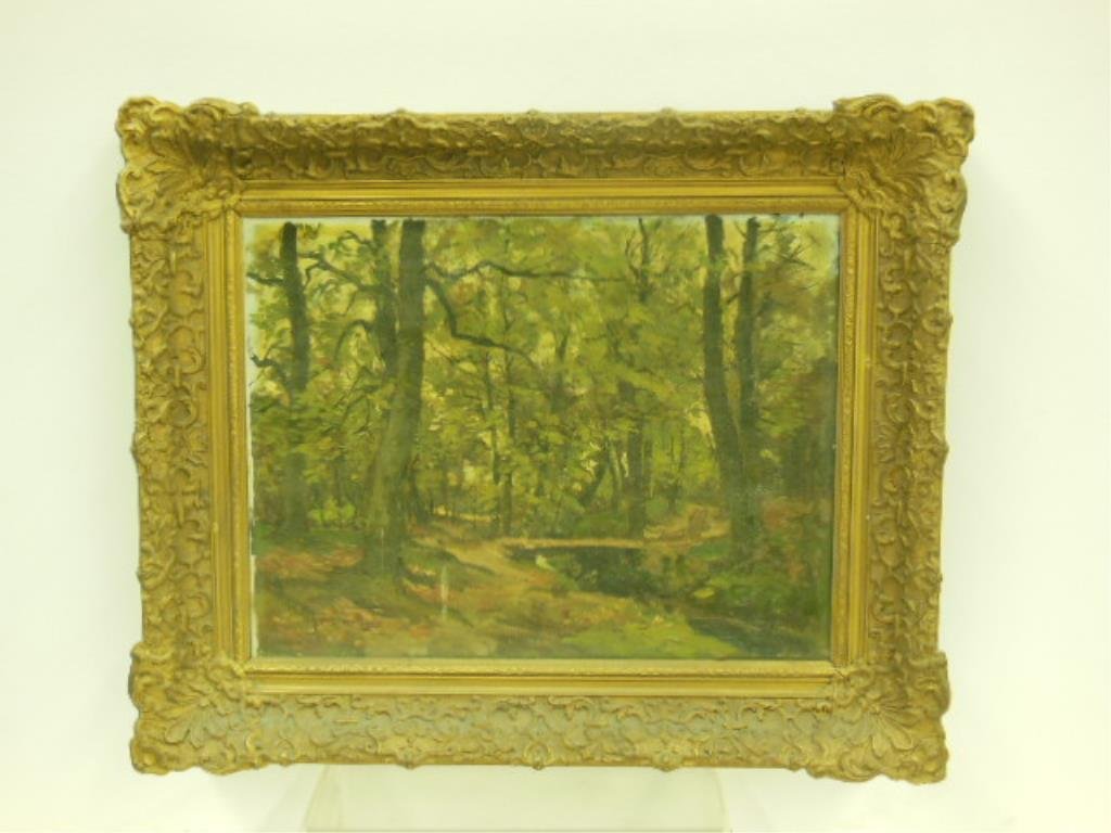 o/c, Forest Interior (1 of 3)