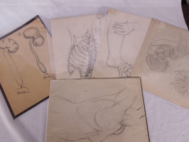 Lg Lot Doctor's & other sketches & drawings (1 of 5)