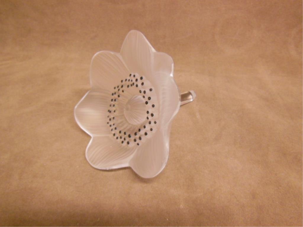 Lalique Crystal Anemone Flower Paperweight (1 of 3)