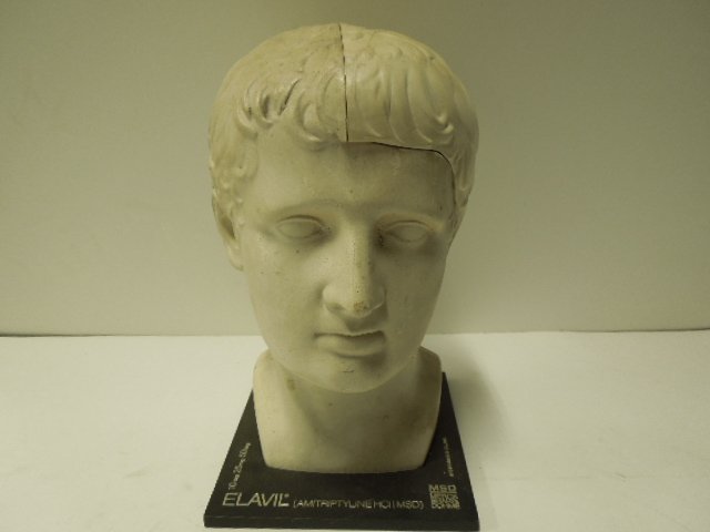 Merck Drug Promotion Brain Model (1 of 3)