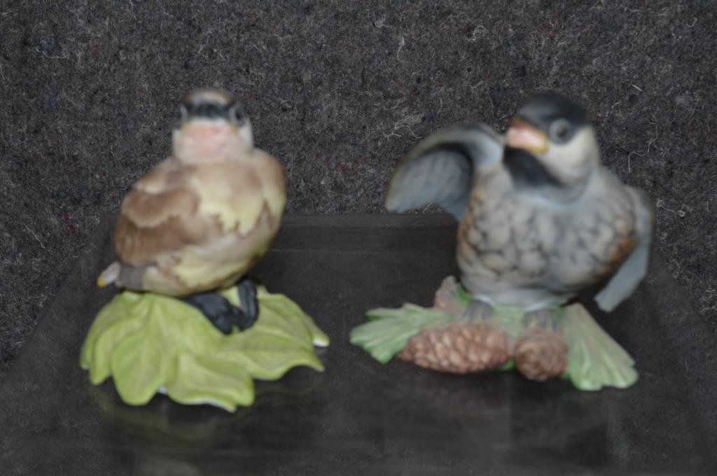 2 Boehm bisque bird figurines (1 of 5)
