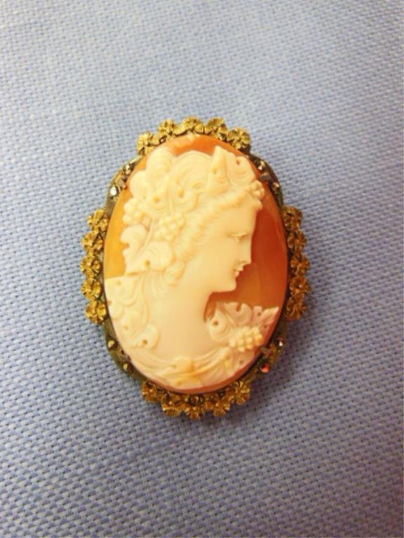 Cameo Brooch/Pendant (1 of 2)