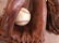 3 Vintage Autograph Style Baseball Gloves - 4