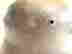 item-80971087=5