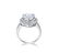 GIA CERTIFICATED DIAMOND PLANTIUM LADY'S RING