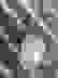 item-45102624=5