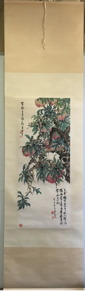 CHINESE SCROLL PAINTING OF PEACH: CHINESE SCROLL PAINTING OF PEACH. Image size 97 cm by 39 cm. From a NYC art collection.
