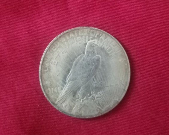 One Dollar Peace 1921 coin Lot 15 (1 of 6)