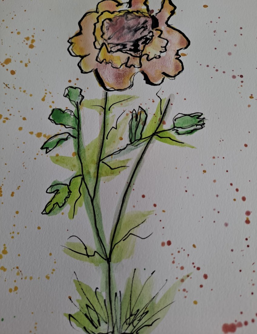 Persian Buttercup: Persian Buttercup by Abe Shainberg. Watercolor on paper, 9 x 12 inches (unframed) Provenance: directly from the artist. Abe Shainberg specializes in watercolor art and is a colorist. Abe prefers paint