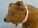 Steiff Brown Bear on Wheels - 3