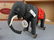 Steiff Club Edition Felt Elephant on Wheels Grey - 3