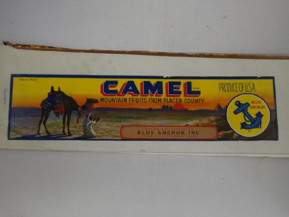 Original Fruit Crate Label - Camel Mountain Fruits (1 of 1)