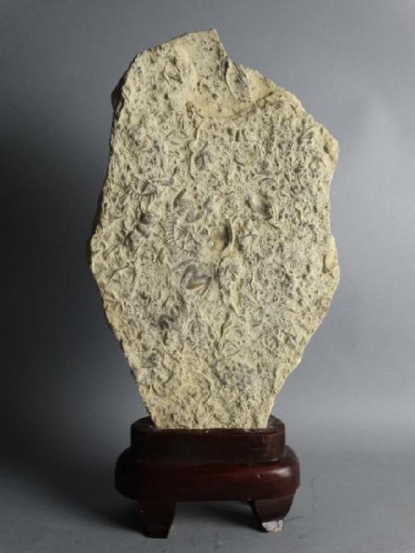 Ancient Chinese Stone Fossils on Base (1 of 6)
