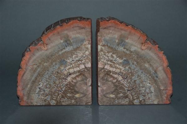 Pair of Petrified Wood Sliced Bookends: 7" H