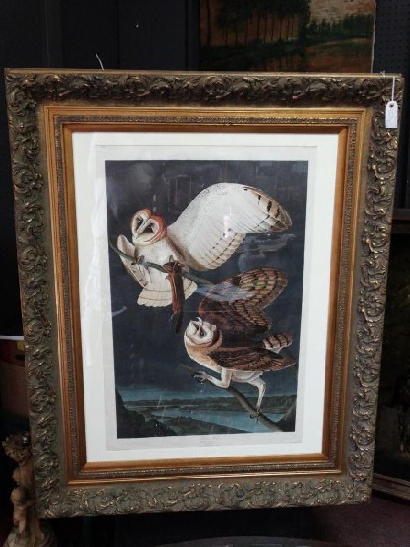 JOHN JAMES AUDUBON - Barn Owls Print (1 of 10)