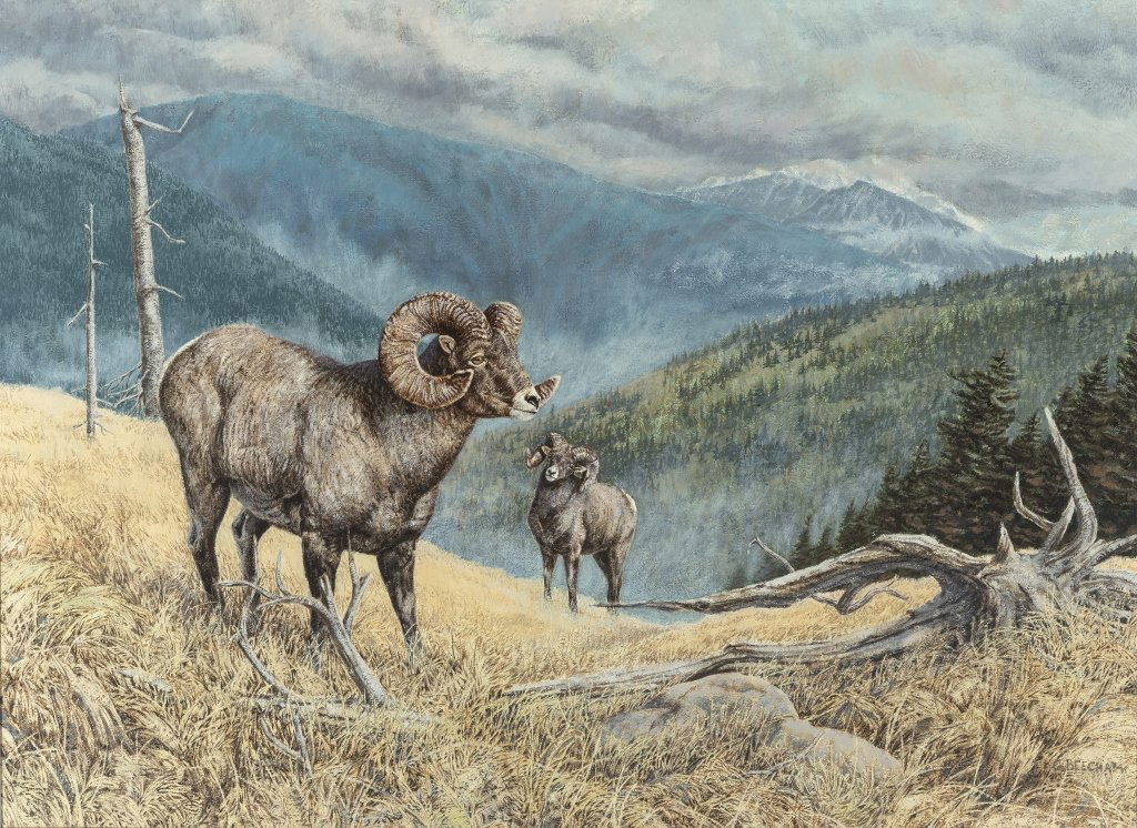 Greg Beecham (b. 1954) Two Rams: Oil on canvas 22.5x30 inches Signed lower right: G. Beecham