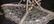 ART DECO CHANDELIER BY VERRERIE DES HANOTS - 4