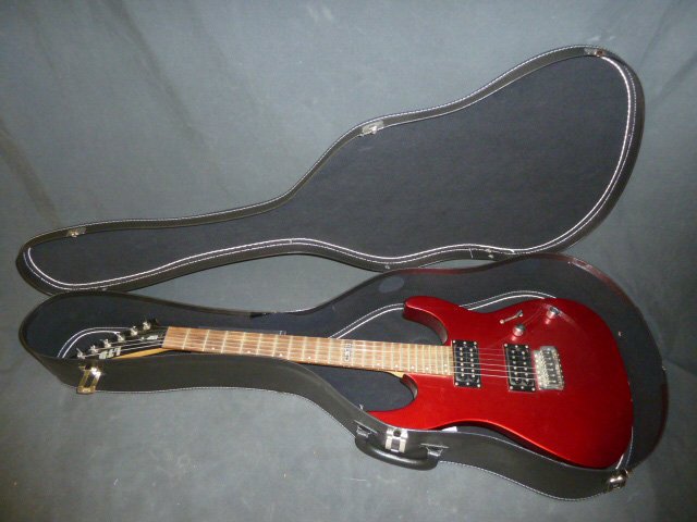 ESP LTD MG-550 Electric Guitar (1 of 7)