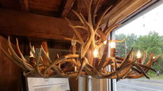 Large Faux Antler Chandelier - 10 Bulb
