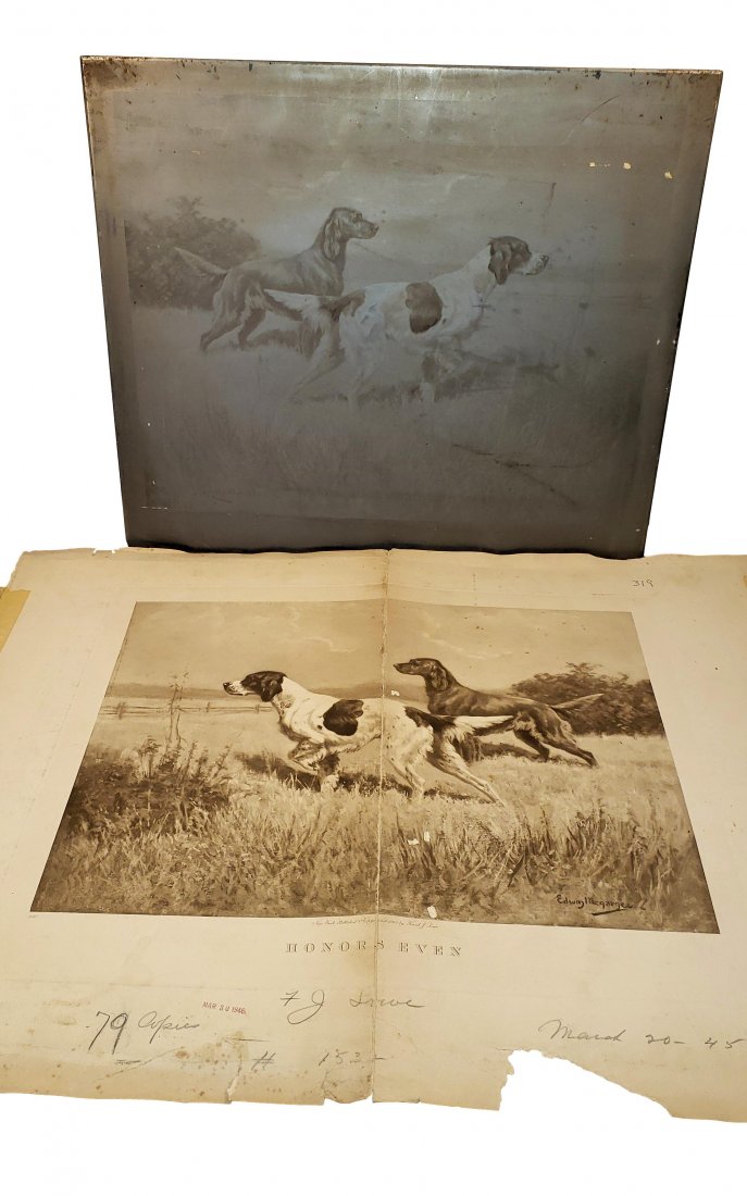 Copper Plate: Honors Even; Dogs in Field By Megaree: Etched copper plate. The plate surface is paraffin protected. Image under paraffin reveals an etching after the work of Edwin Megaree (1883-1958) Painting of two hunting dogs in a field titled - Honor