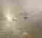 item-100205101=4
