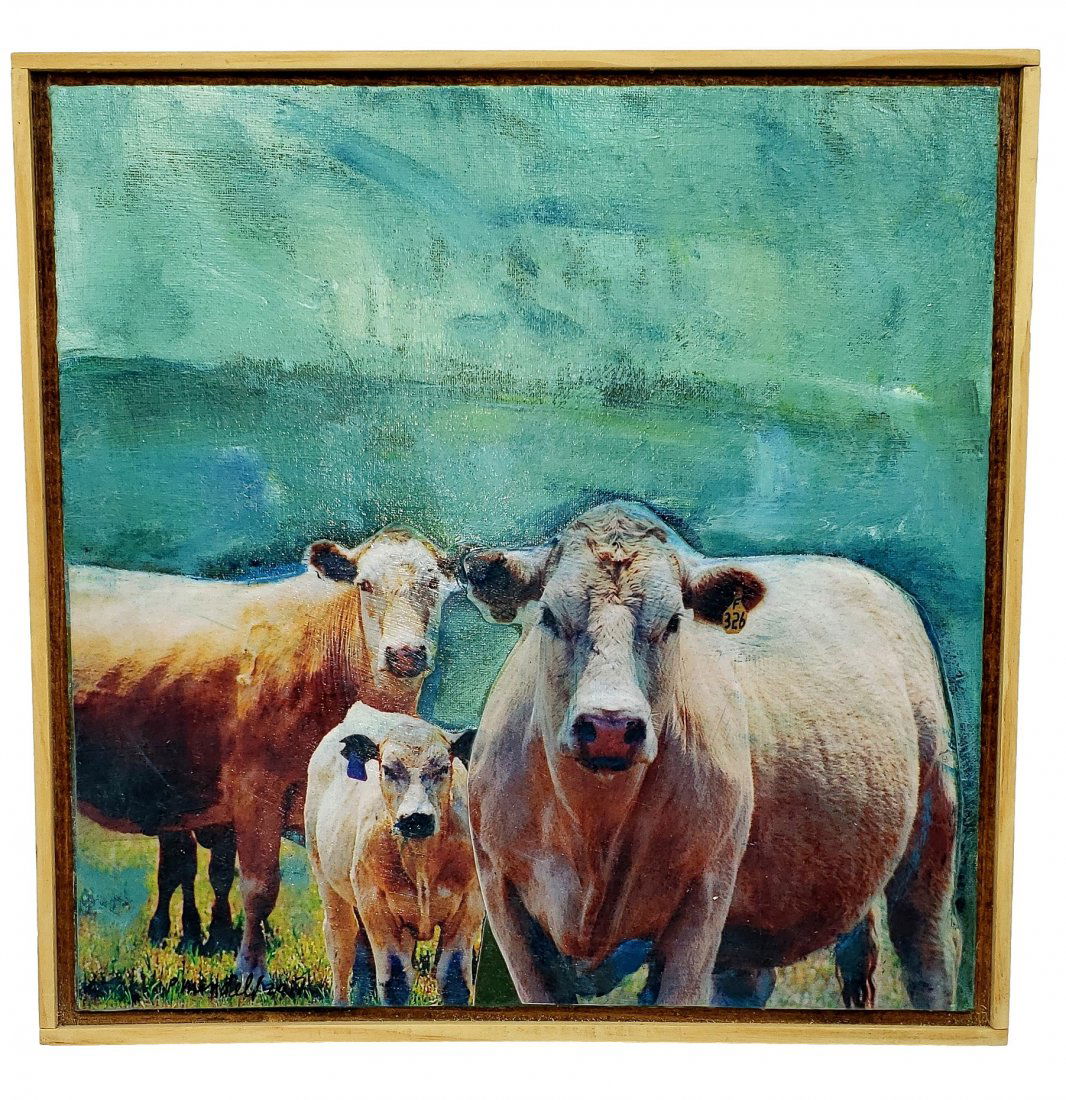 Hudson Valley Cows #6 / Series 1 by Paul Mindell (1 of 4)