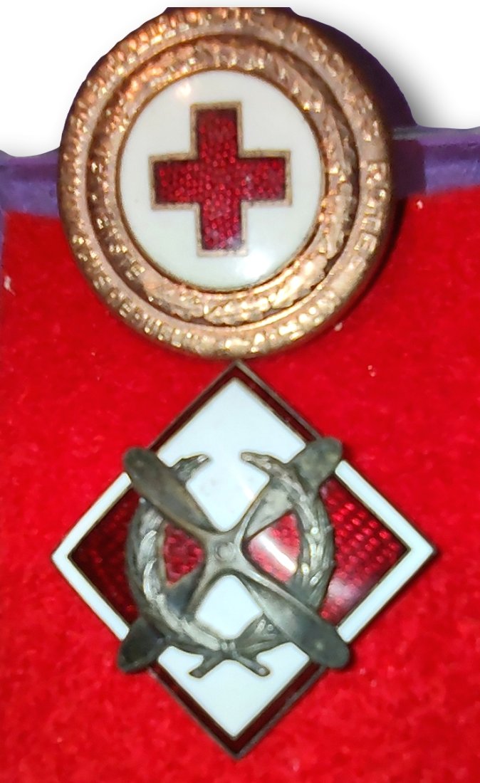 East German Red Cross and Airforce Pins: 2 (1 of 7)