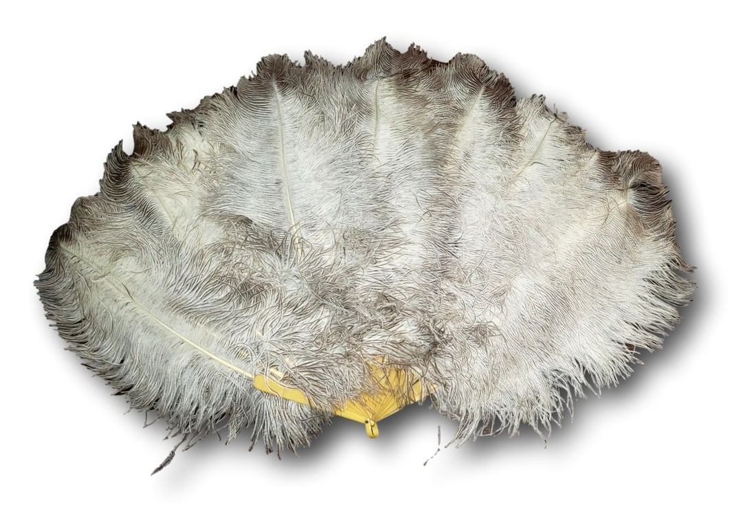 1920s Ostrich Feather and Bone Burlesque Fan: Ostrich Feather fan with bone is from the 1920s is marked with a Traphagan museum tag "Pur; Miss M." Opened the fan is 41 inches wide and is 24 inches tall. It is in good conditi