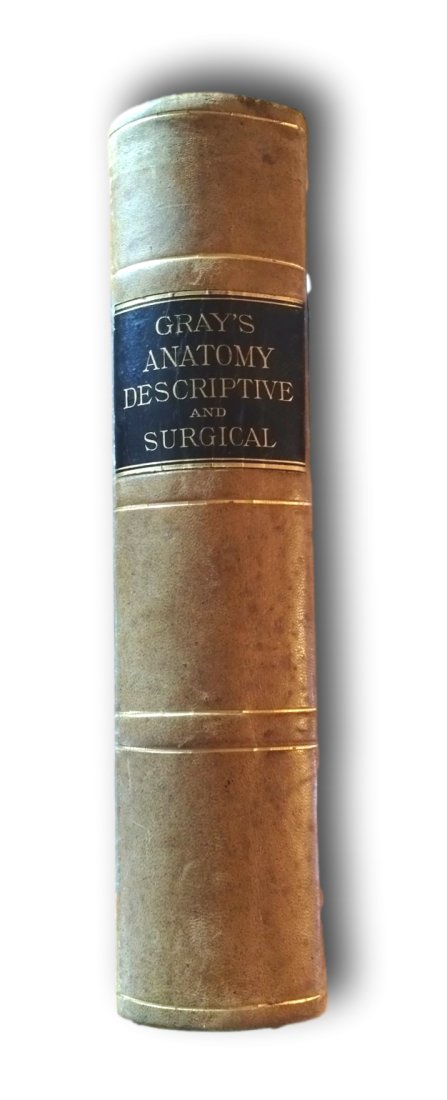 Gray's Anatomy: Anatomy, Descriptive and Surgical 1881(1878): Gray's Anatomy 8th edition: Anatomy, Descriptive and Surgical entered according to and act of Congress to the Library of Congress USA in 1878. Place of Publication: Philadelphia by Dornan. Vellum over