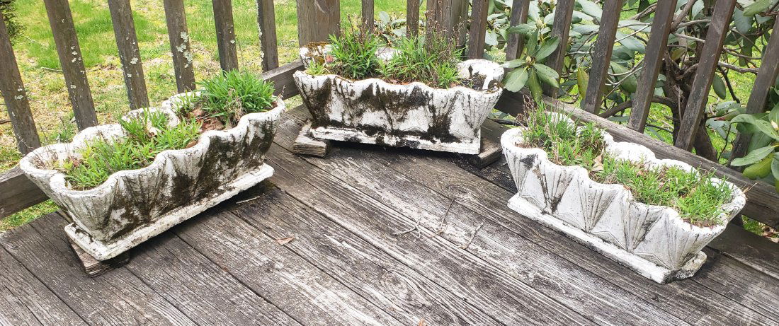 3 Matching Vintage Cement Scalloped Planters (1 of 2)