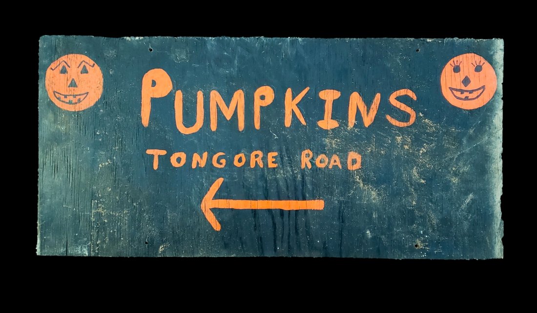 Vintage Hand Painted Wood Sign Pumpkins: Done in the 1960s this is a roadside farm sign for pumpkins. It was painted on a wood board and it measures 33 1/2 inches by 16 inches.