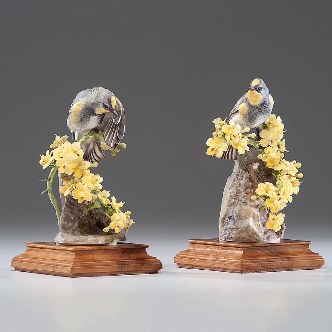 Royal Worcester Dorothy Doughty Audubon Warblers (1 of 5)