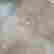 item-55465281=4
