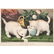 Currier & Ives Cat Themed Hand-Colored Lithographs - 4