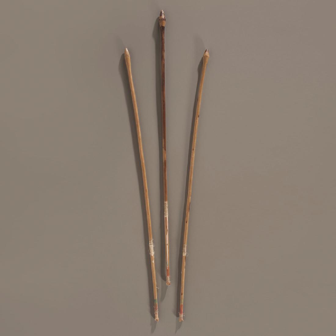 Plains Bird Darts, Collected by Gustav (Gus) Sigel: with blunt tips and red and green paint at nocked ends, length 25.5 in. ca 1900 Provenance: Gustav (Gus) Sigel (1837-1923), a railroad worker in Montana, assembled the collection between 1880-1900. H