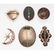 Victorian Pins in Karat Gold and Gold Filled - 2