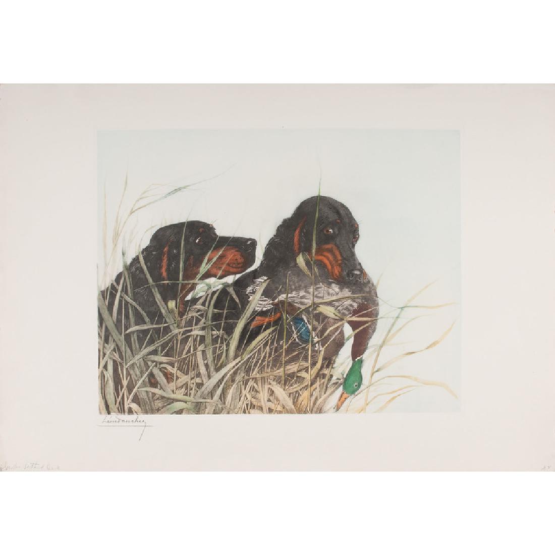 Léon Danchin (French, 1887- 1938): Untitled (Hunting Dog Prints) etchings and lithographs (13) signed 23.5 x 34.5 in. (sheet)