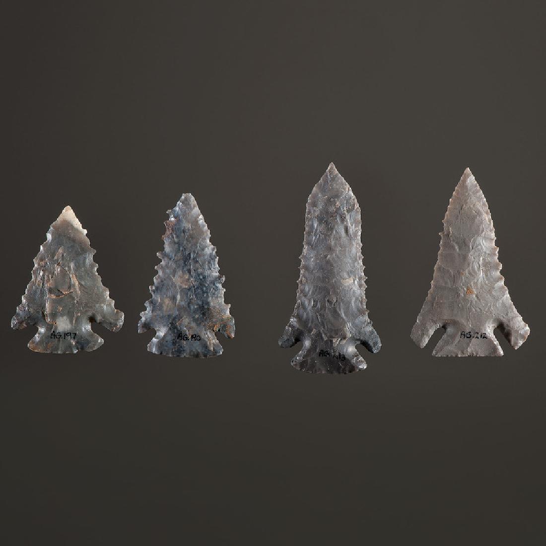 Pine Tree Points (1 of 2)