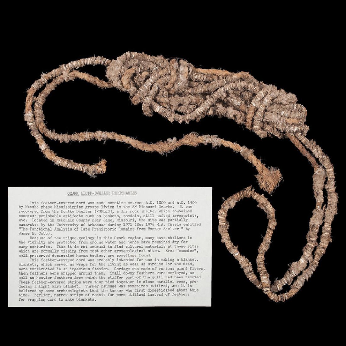 A Frame of Feather Covered Cord: Mississippian Culture, Late Prehistoric Period, A.D. 1000-1500 Bontke Cliff Shelter, McDonald County, Missouri length 12.5 in. (as shown in frame) Provenance: Publications: Gerber, Art, The Art Gerber
