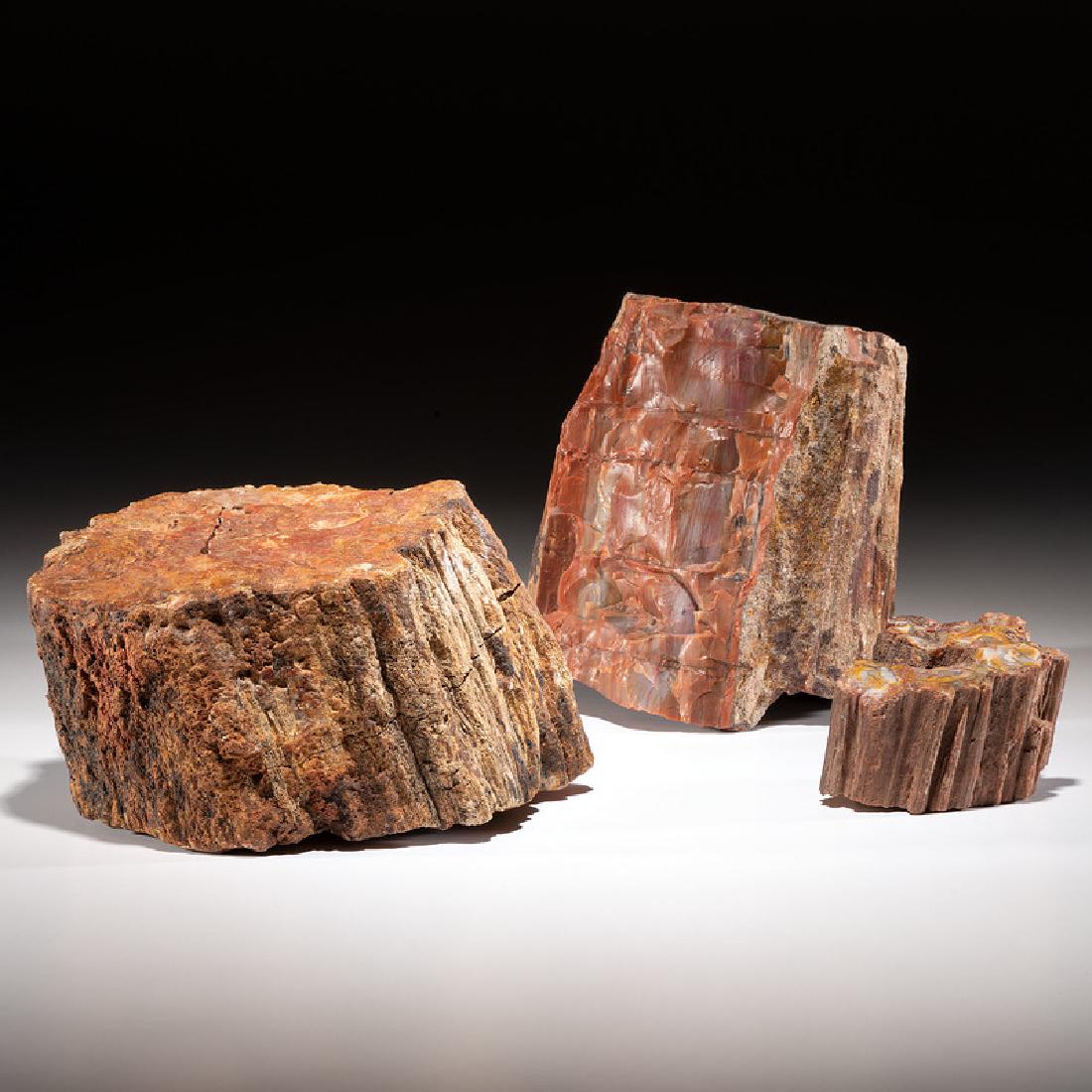Three Chunks of Petrified Wood: lot of 3, largest height 7.75 in. x width 7 in. Provenance from the Art Gerber Collection, Indiana
