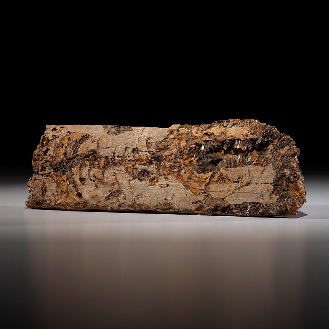 A Log of Petrified Wood (1 of 2)