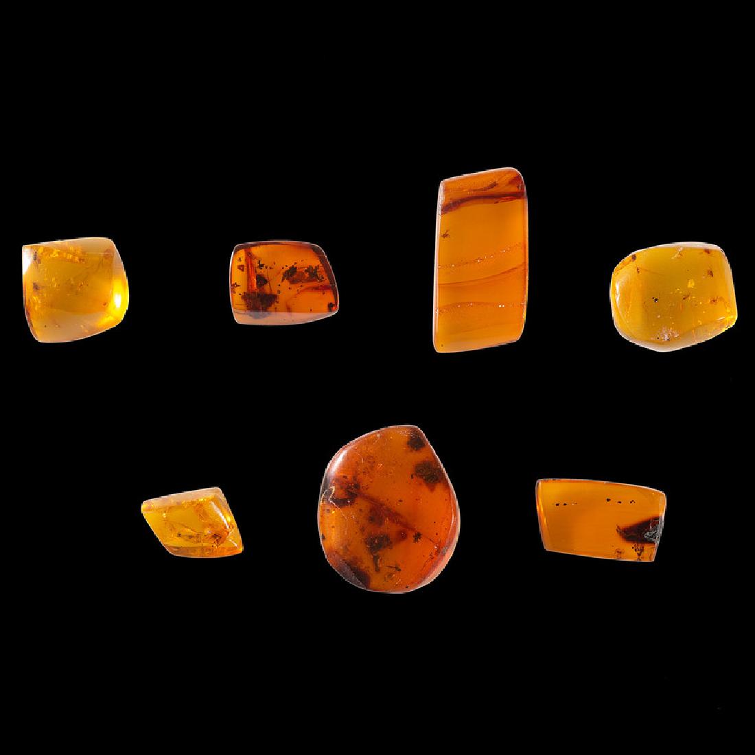 A Group of Dominican Amber with Insects: Mesozoic Era, Cretaceous Period, 145 million years ago Dominican Republic lot of 7, longest 1 in. Provenance from the Steve Dowell Collection, Kentucky